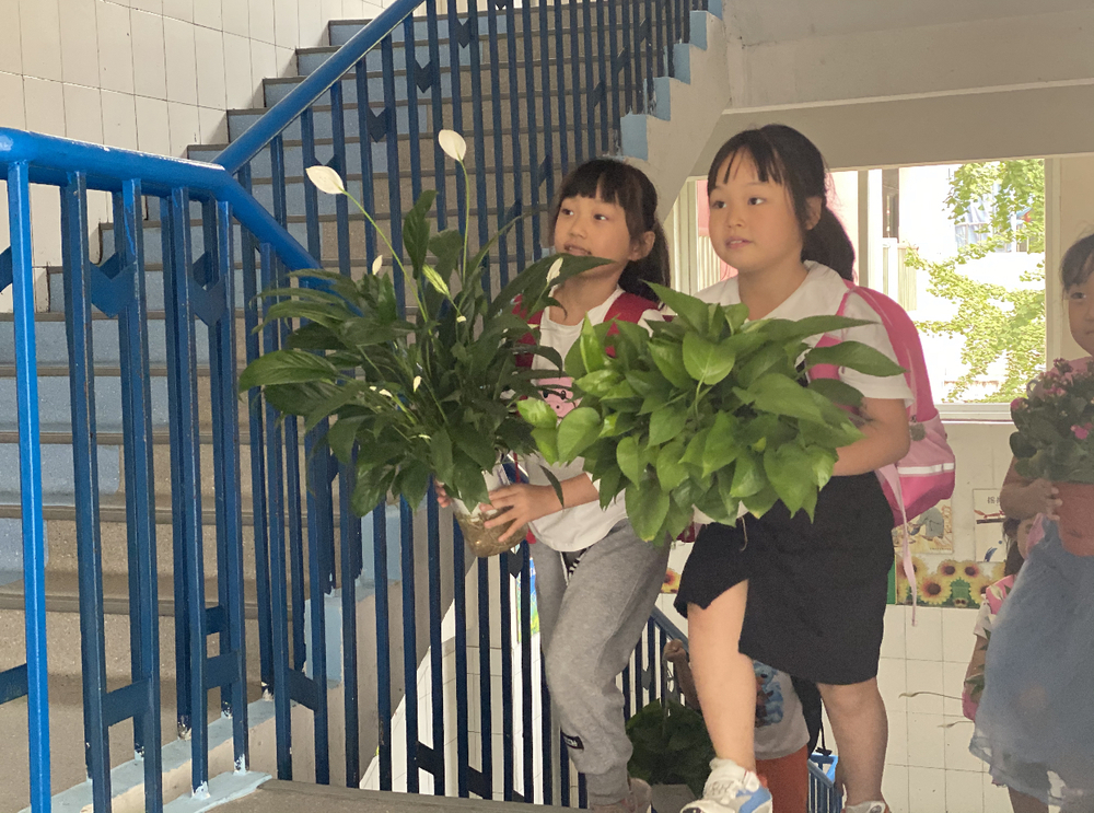 孩子们带上小绿植装扮教室.jpg