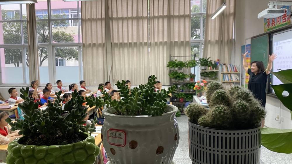 小盆栽装点着教室窗台.jpg